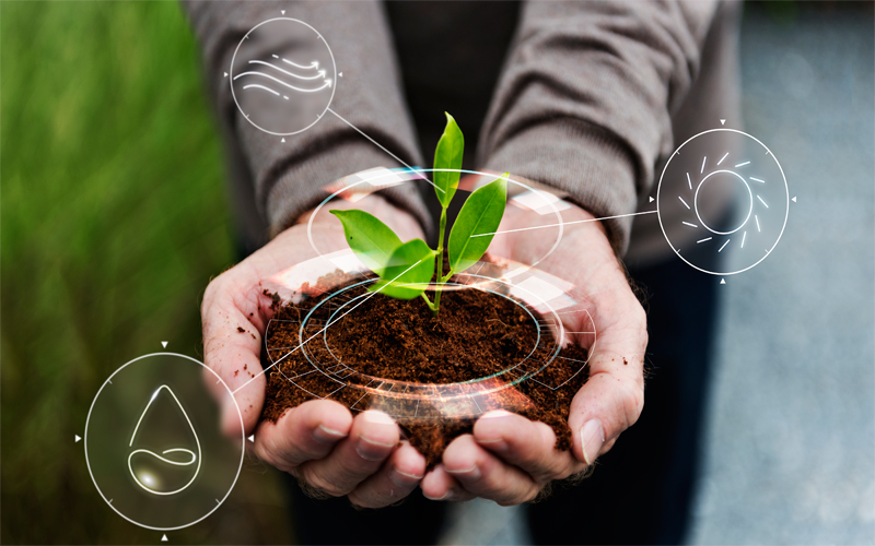 agrochemicals manufacturing and exporting company